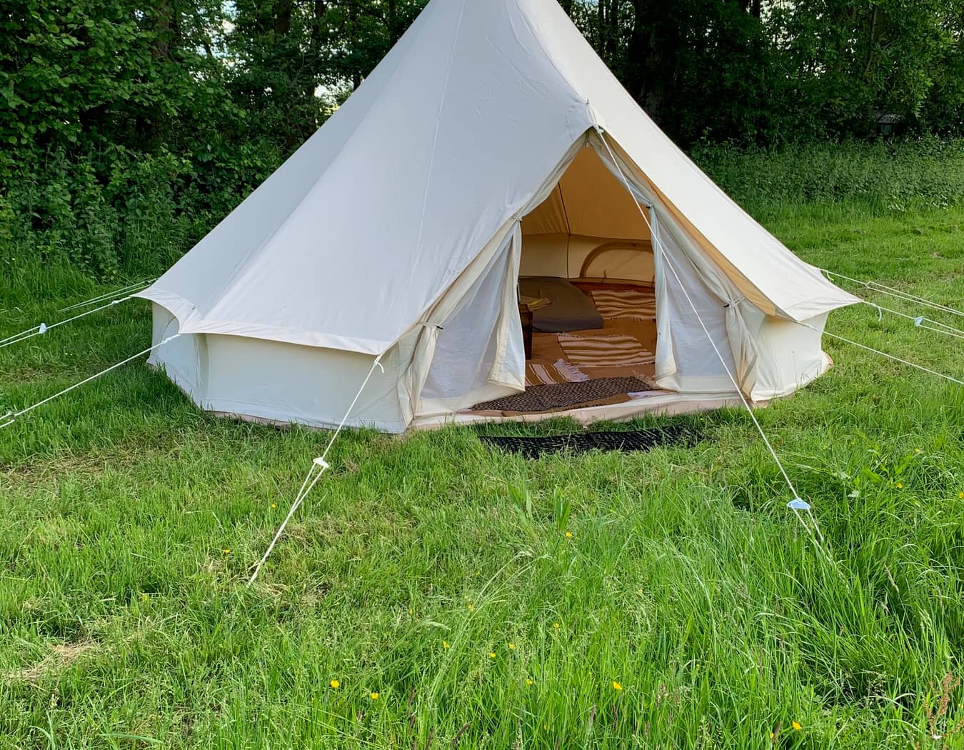 Springhill Farm Glamping