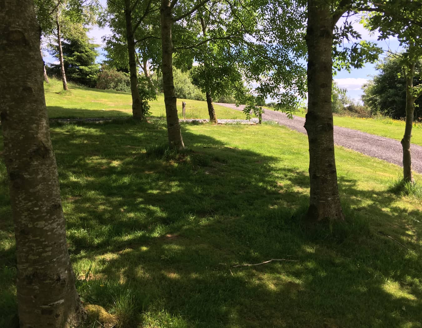 Pen y Bryn Glamping and Touring Site