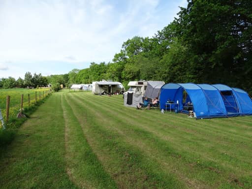 Meadow non-electric grass tent pitch (large) at Church Stretton Camp & Fish (Oaklands)