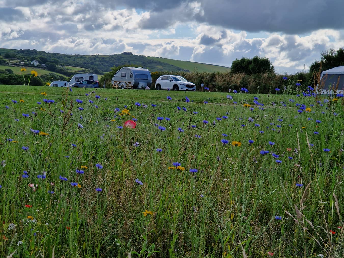 The Camping Field (photo 2)