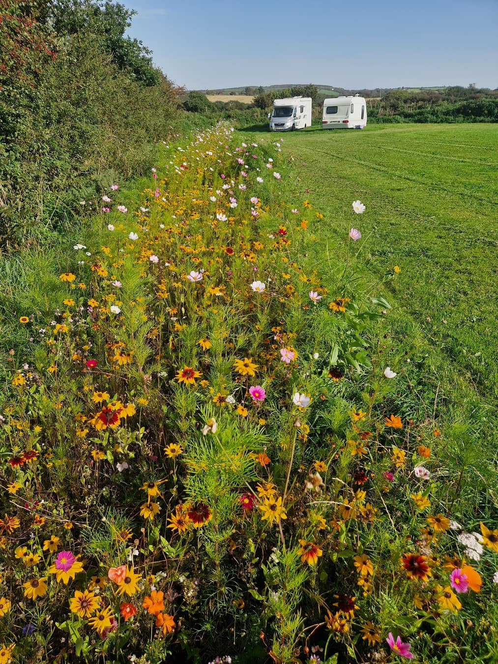 The Camping Field (photo 3)