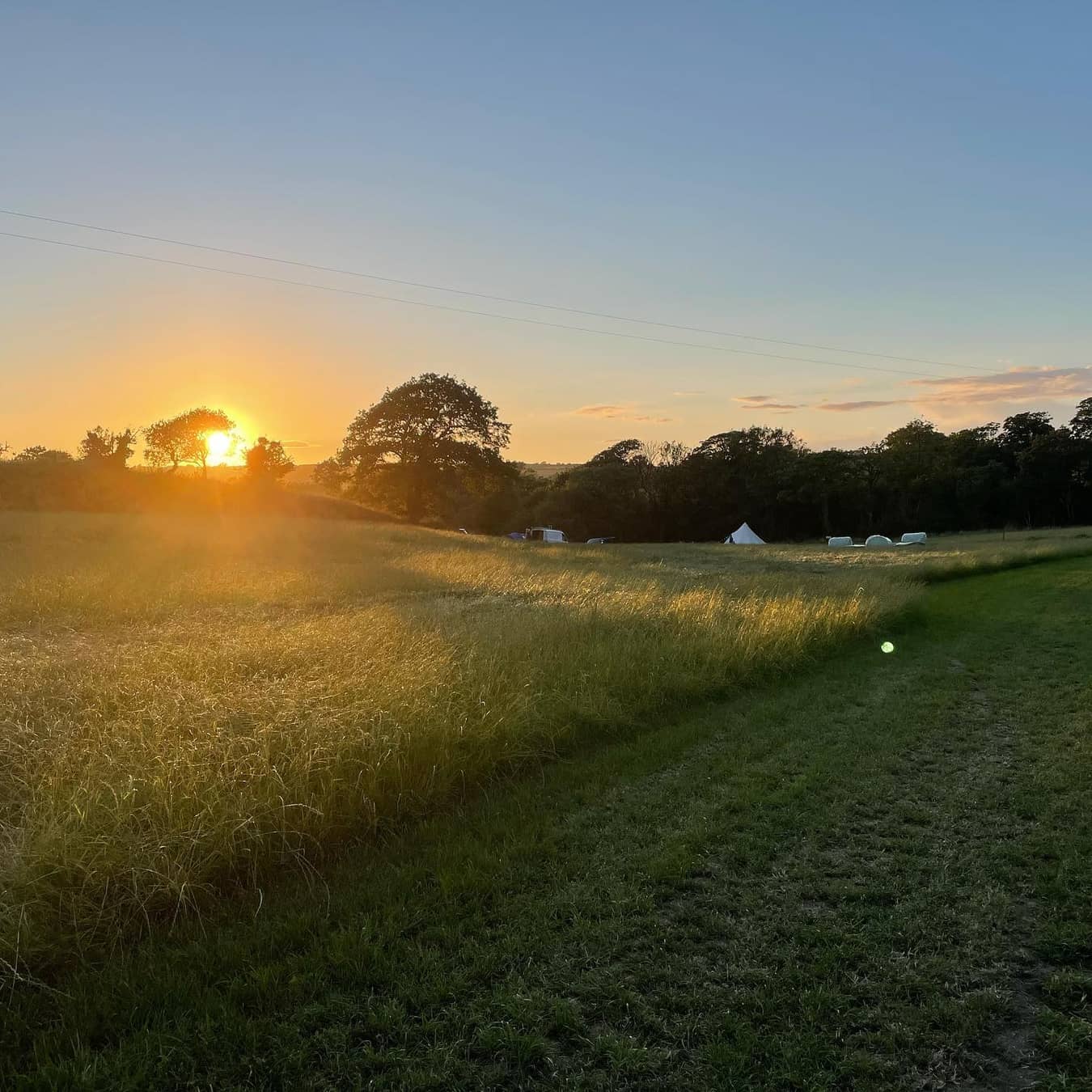 Grass Pitches Electric Hook-Up at Llys-y-Frân Meadow Campsite
