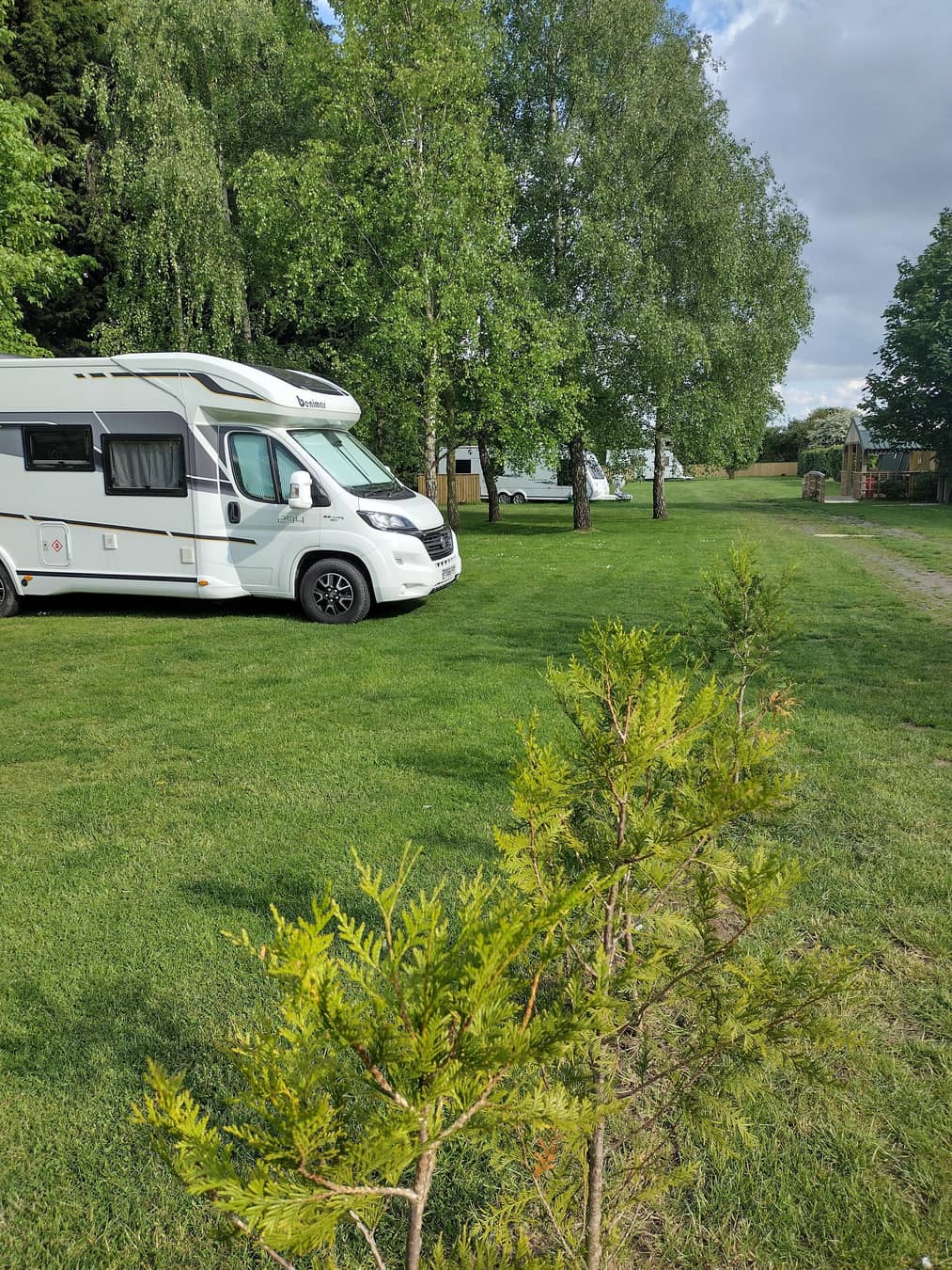 Grass Pitch or hard standing with Electric Hook-up at Ivydene Caravan Site