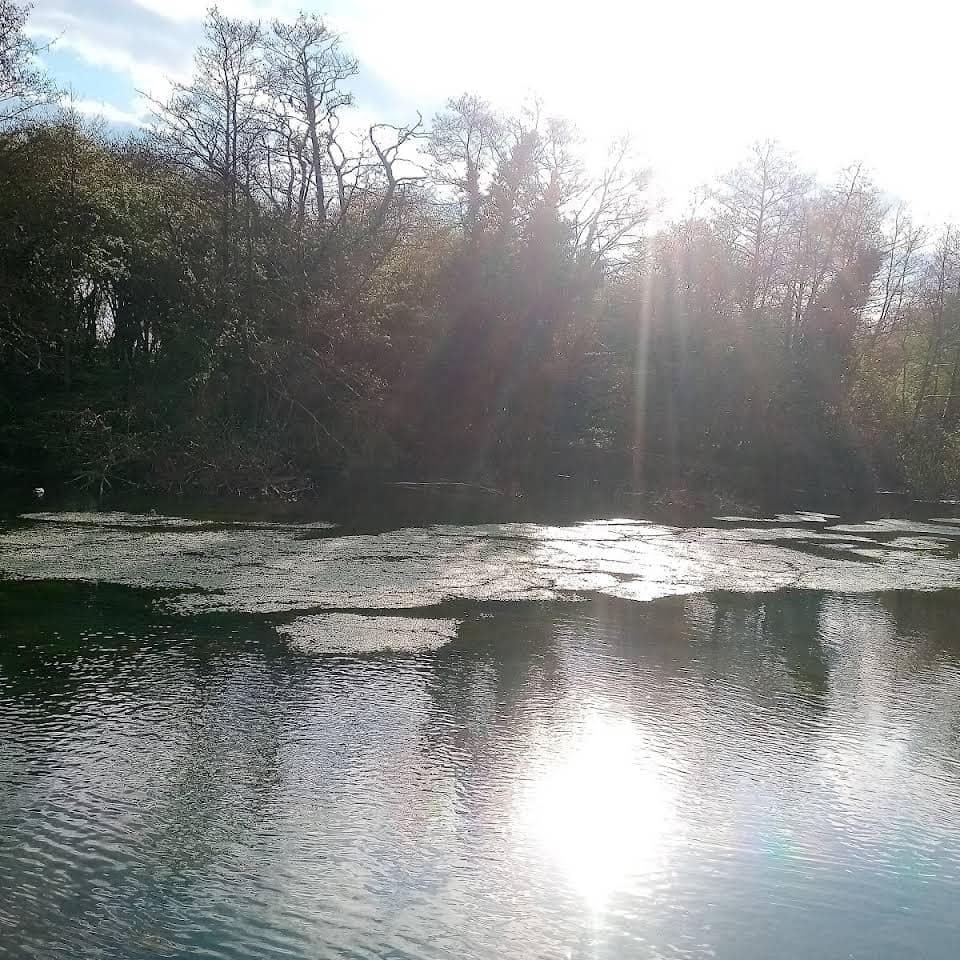 Marina Base Campsite (photo 3)