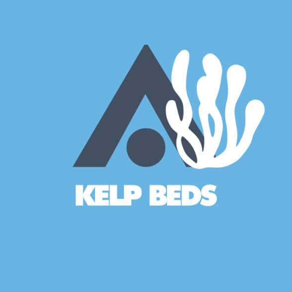 Kelp Beds