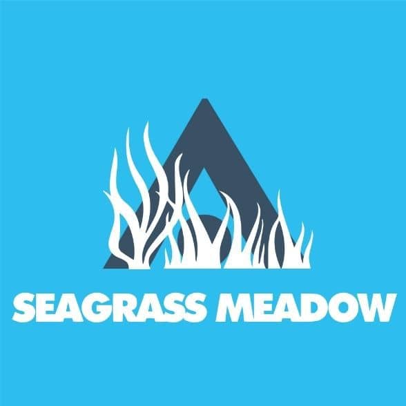 Seagrass Meadow