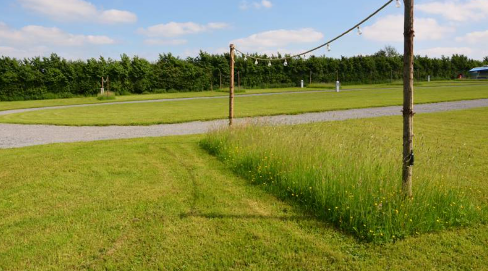 Circle Pitch with Electric