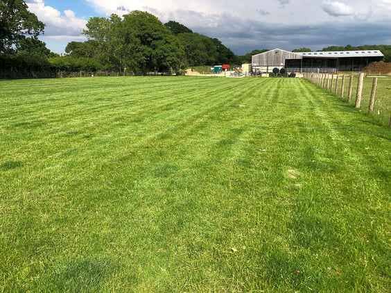 Electric Grass Pitch