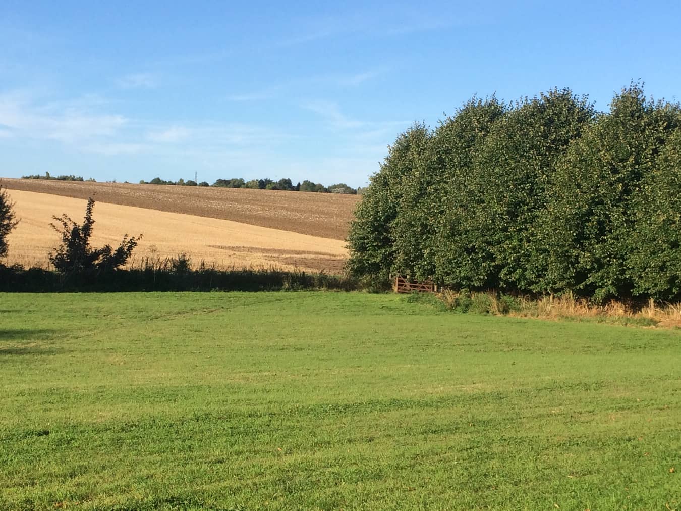 Non-Electric Grass Motorhome Pitch